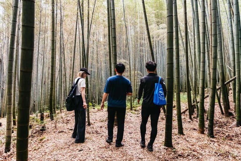 Kyoto: 3-Hour Fushimi Inari Shrine Hidden Hiking Tour - Pace, Terrain, and What to Wear for 7 Kilometers of Forest