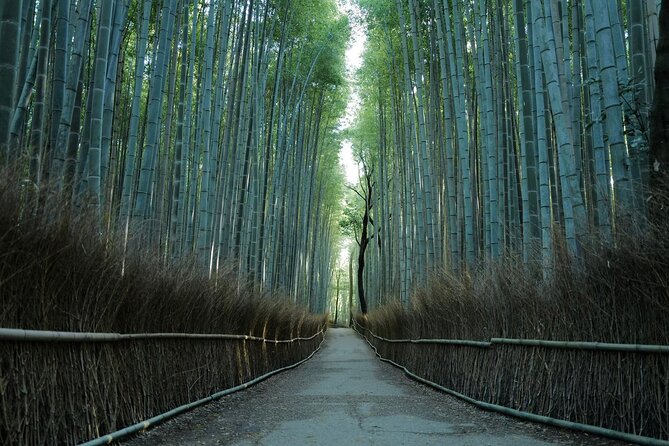 Kyoto Arashiyama Bamboo Forest Hiking Tour（Hidden Temples） - Key things that make this tour worth your time