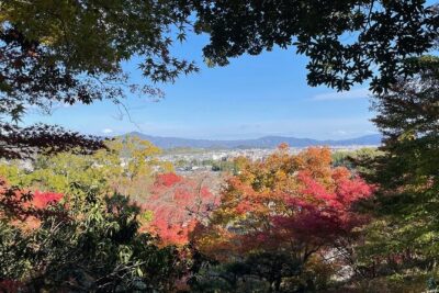 Kyoto Arashiyama Bamboo Forest Hiking Tour（Hidden Temples） - What the 3-Hour Experience Really Feels Like