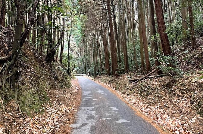 Kyoto Arashiyama Bamboo Forest Hiking Tour（Hidden Temples） - Price and Logistics: Is $52.71 Good Value?
