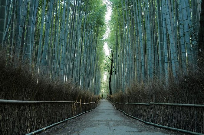 Kyoto Arashiyama Bamboo Forest Hiking Tour（Hidden Temples） - Who This Tour Suits Best (and Who Should Skip It)