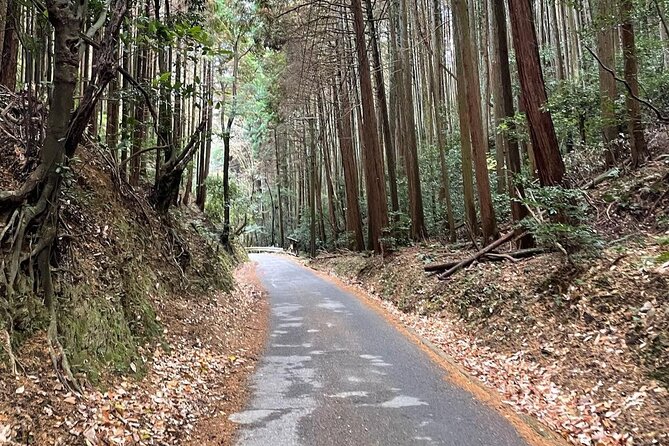 Kyoto Arashiyama Bamboo Forest Hiking Tour（Hidden Temples） - Quick Tips to Make the Most of Your 3 Hours