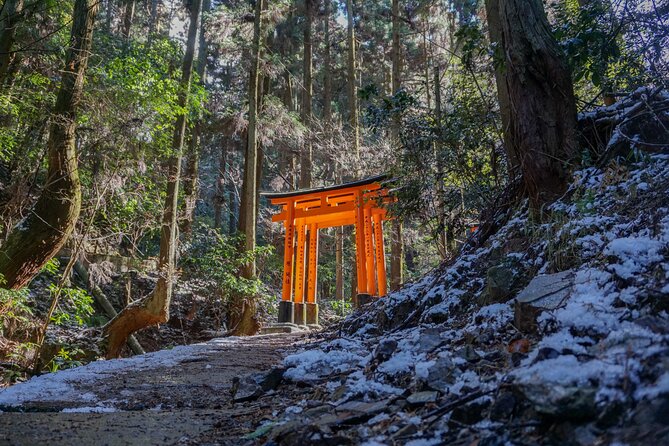 Kyoto: Fushimi Inari Hidden Hike (Private) - Why Fushimi Inari’s quiet trails change the whole experience