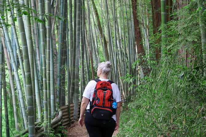 Kyoto: Fushimi Inari Hidden Hike (Private) - Downhill views of Fushimi Momoyama Castle from the mountainside