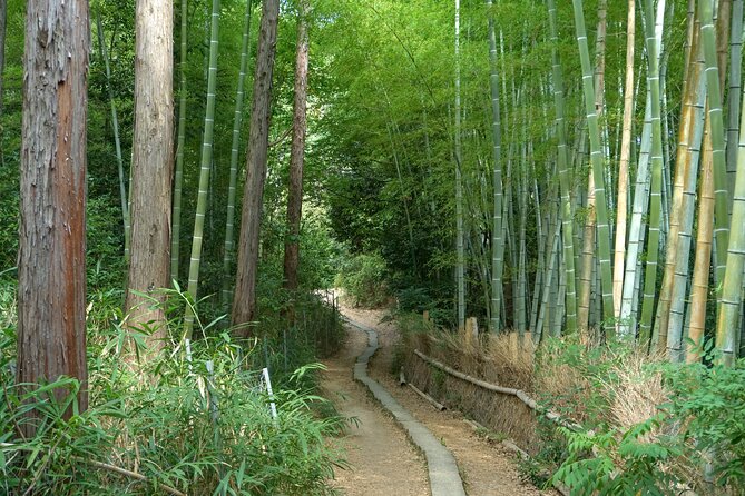 Kyoto: Fushimi Inari Hidden Hike (Private) - Price and value: what $62.26 really buys you