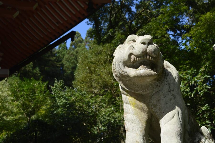 Kyoto: Hike and Hot Springs in Kurama - The hike up through cedar shade toward Kurama Temple