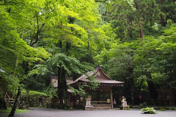 Kyoto Hiking Tour: The Nature and Legends of Kurama and Kibune - A Reiki-Rooted Hike That Feels Like Real Kyoto