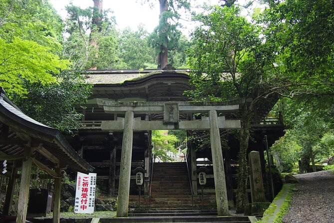 Kyoto Hiking Tour: The Nature and Legends of Kurama and Kibune - Stop 2: Mount Kurama and the 21 Days of Reiki