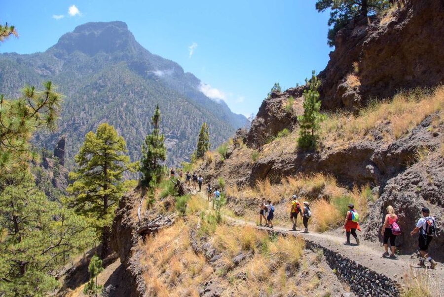 La Palma: Caldera de Taburiente National Park Guided Hike - Key things I’d prioritize on this La Palma hike