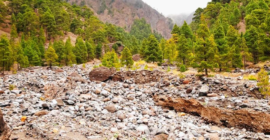 La Palma: Caldera de Taburiente National Park Guided Hike - Why Caldera de Taburiente Feels Like a Big Closed World