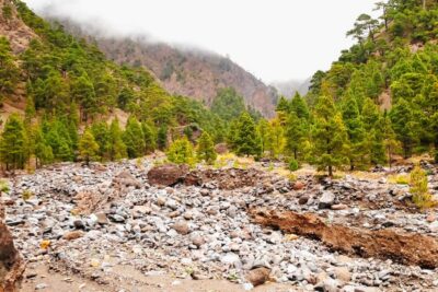 La Palma: Caldera de Taburiente National Park Guided Hike - Price and Time: What $49 Buys in La Palma