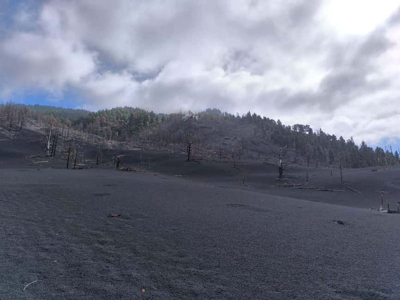 La Palma: Tajogaite Volcano Guided Hike - Tajogaite Volcano on La Palma: why this hike feels different