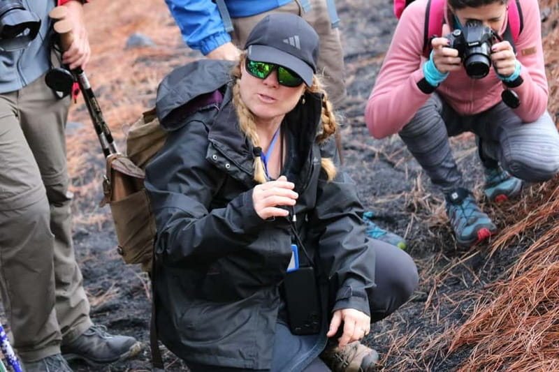 La Palma: Tajogaite Volcano Guided Hike - What to bring so the hike feels smooth (not stressful)