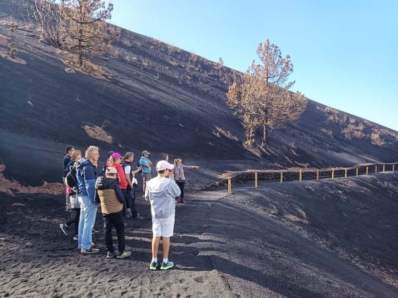 La Palma: Tajogaite Volcano Guided Hike - Price and value: is $42 worth it?