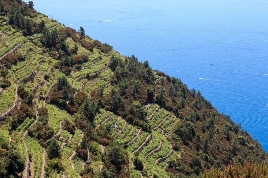 La Spezia: Cinque Terre Guided Hiking Tour - Price and Value: Is $94 Worth It?