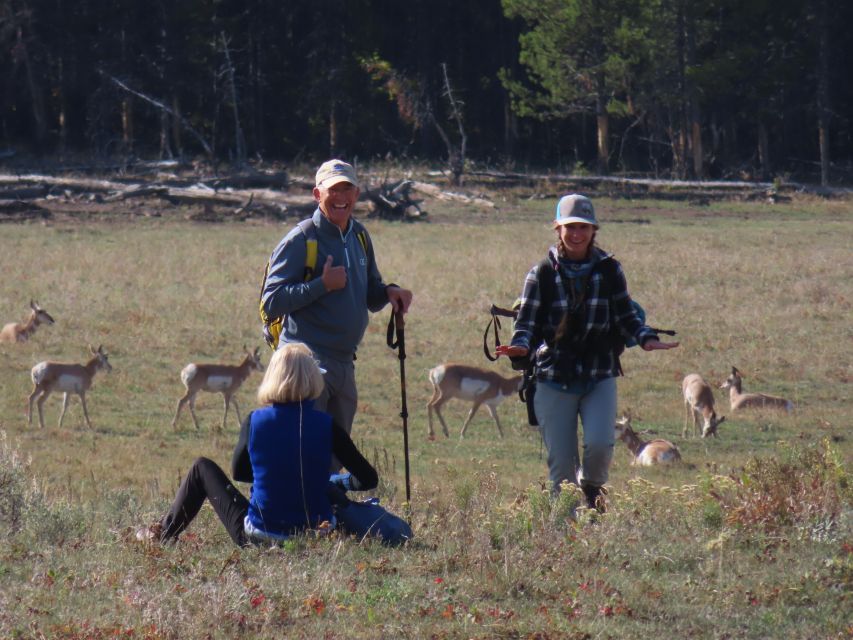 Lamar Valley: Safari Hiking Tour with Lunch - Should you book this Lamar Valley safari hike?