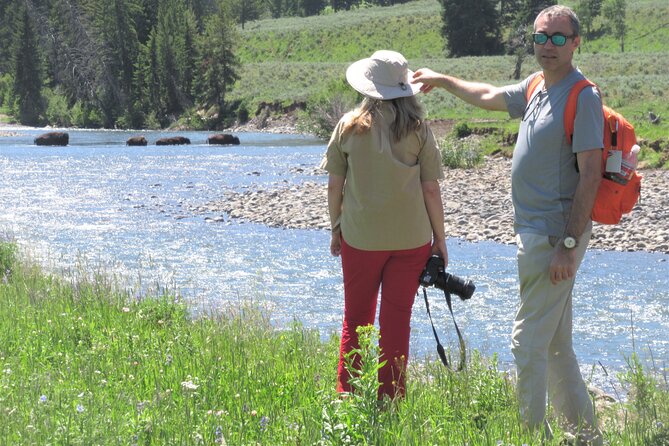 Lamar Valley Safari Hiking Tour with Lunch - Entering The Day: 8:00 am Start at Lamar River Trailhead