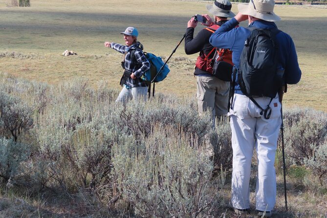 Lamar Valley Safari Hiking Tour with Lunch - Who This Tour Fits Best (and Who Might Want a Different Option)