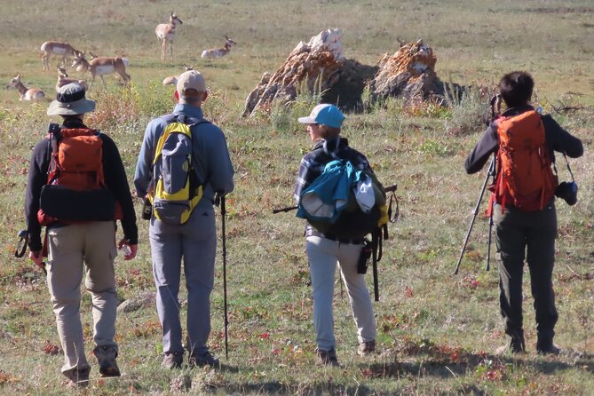Lamar Valley Safari Hiking Tour with Lunch - Weather, Wet Feet, and the Realistic Yellowstone Morning