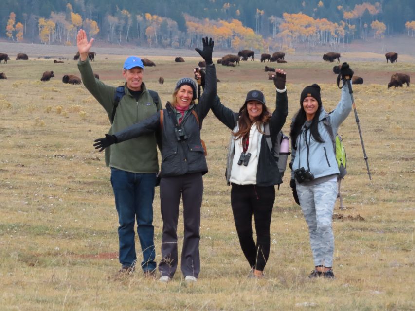 Lamar Valley: Safari Hiking Tour with Lunch - Who this tour fits best (and who should skip it)