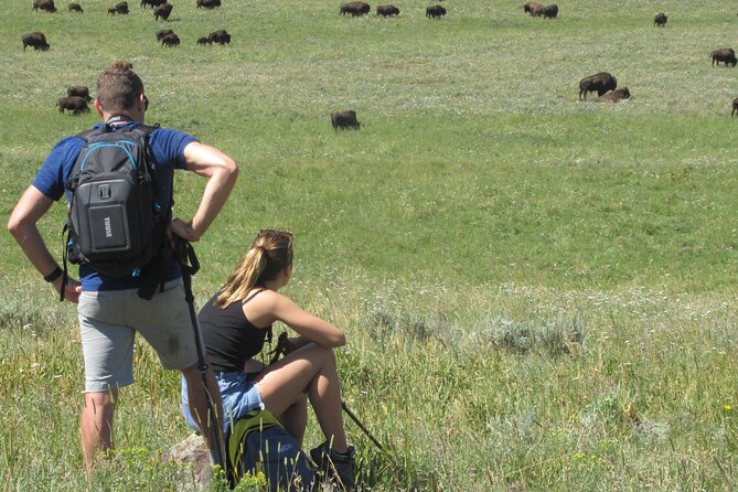 Lamar Valley: Safari Hiking Tour with Lunch - What’s included for $192: gear, lunch, and wildlife support