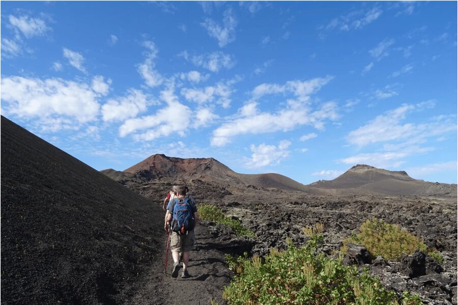 Lanzarote: Hike Across Timanfaya's Volcanic Landscapes - Key things I’d watch for on this Timanfaya hike