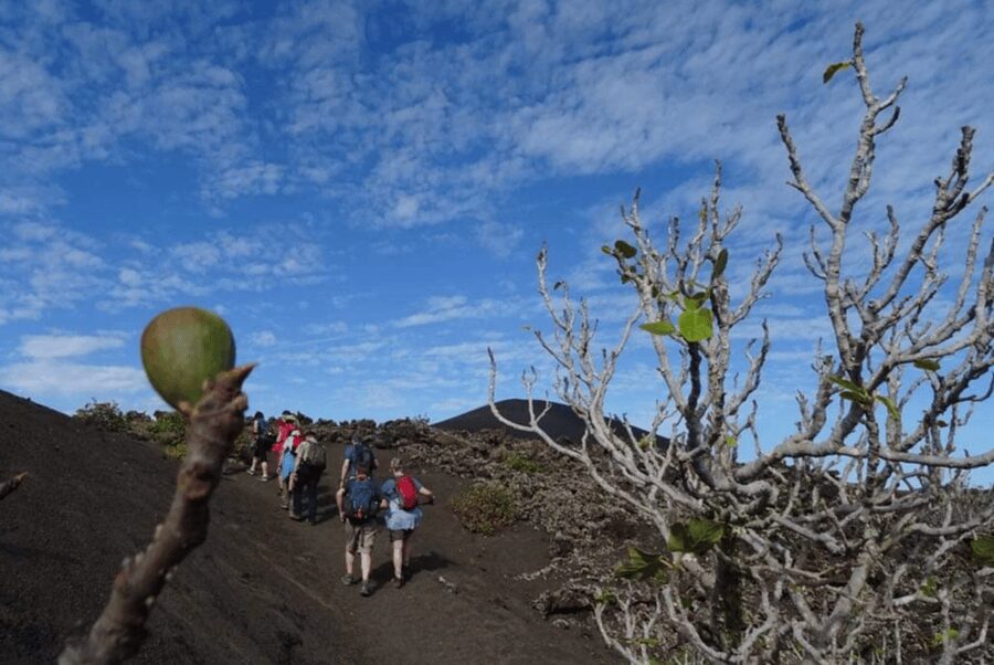 Lanzarote: Hike Across Timanfaya's Volcanic Landscapes - Who this hike suits best (and who should pick a different option)