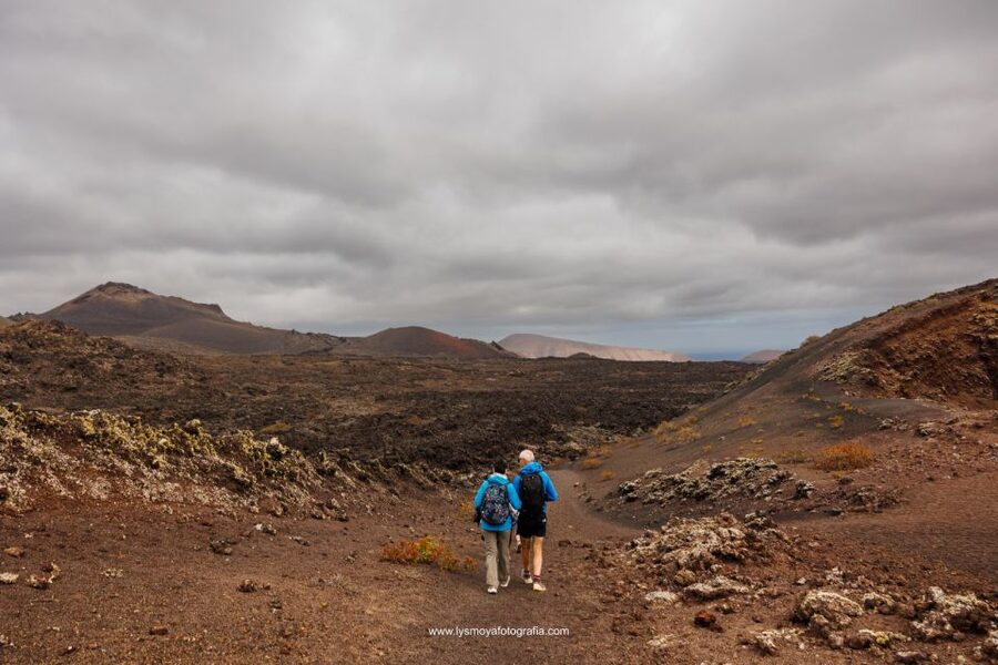 Lanzarote: Hike Across Timanfaya's Volcanic Landscapes - Should you book this Timanfaya hike?