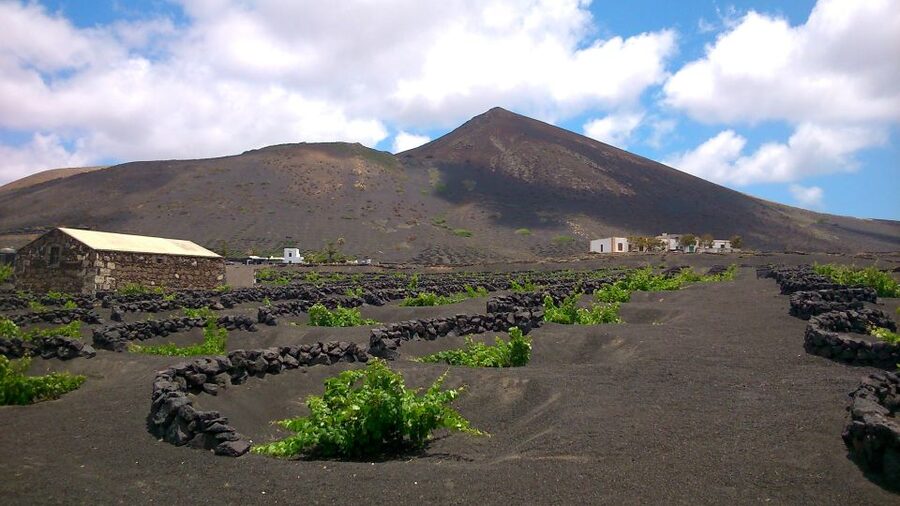 Lanzarote: La Geria Vineyards Hiking Tour - Key things I’d lock in before you go