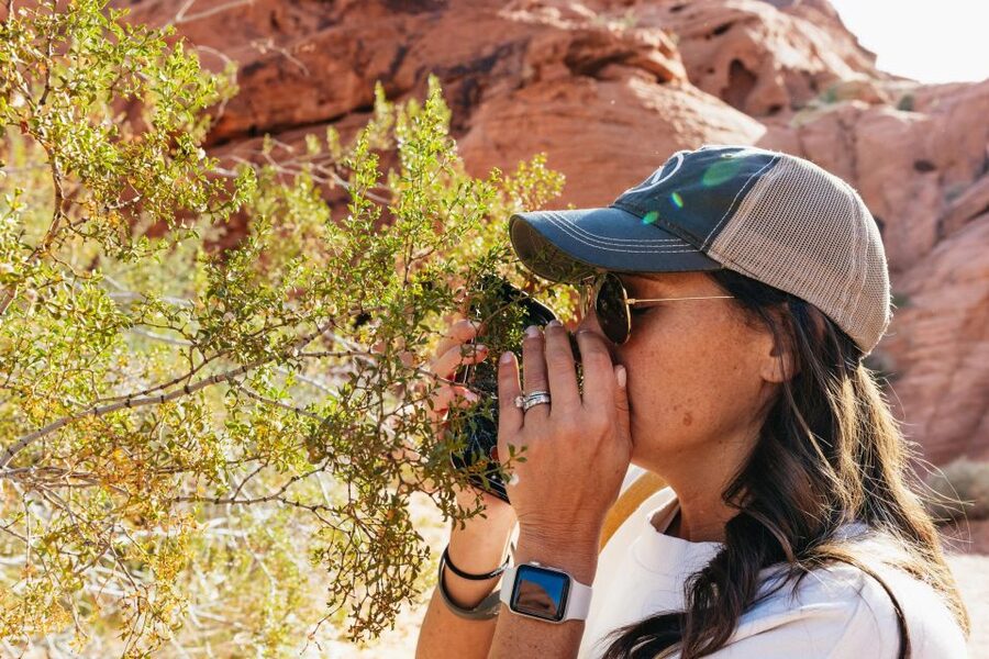 Las Vegas: Valley of Fire Guided Hike with Drinks and Snacks - Petroglyph-covered walls and what your guide teaches on the trail
