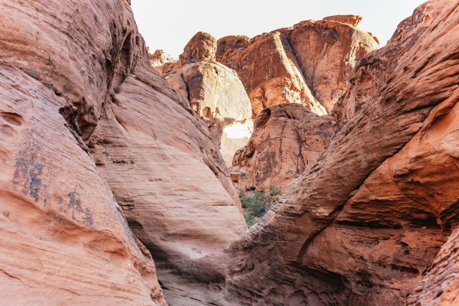 Las Vegas: Valley of Fire Guided Hike with Drinks and Snacks - What to bring (and what not to bring)