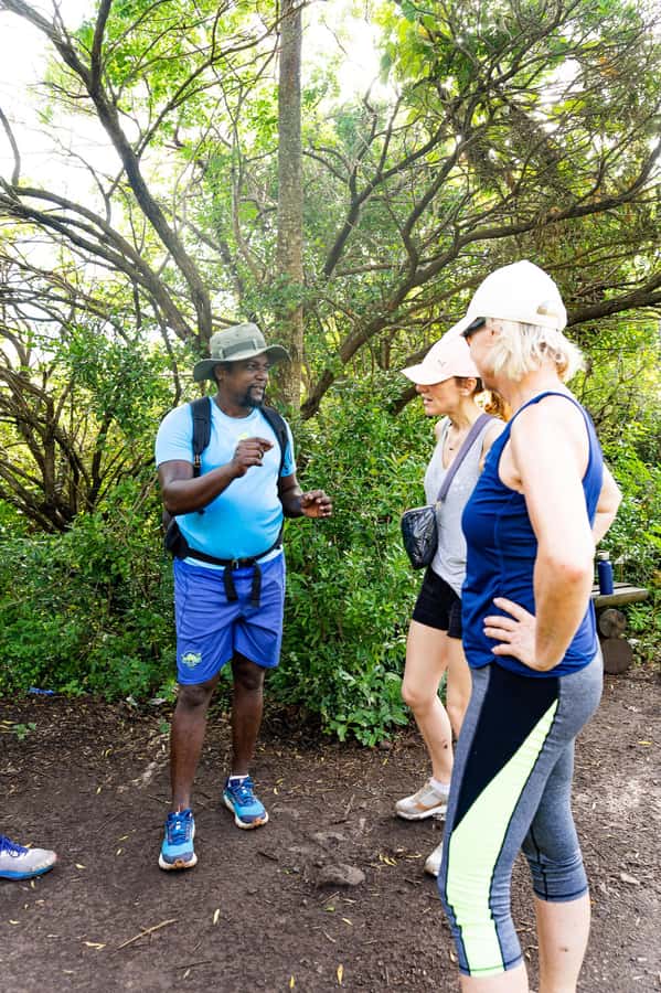 Le Morne Brabant: UNESCO Mountain Hike & Local Guides - Summit payoff: managing steep moments and protecting your confidence