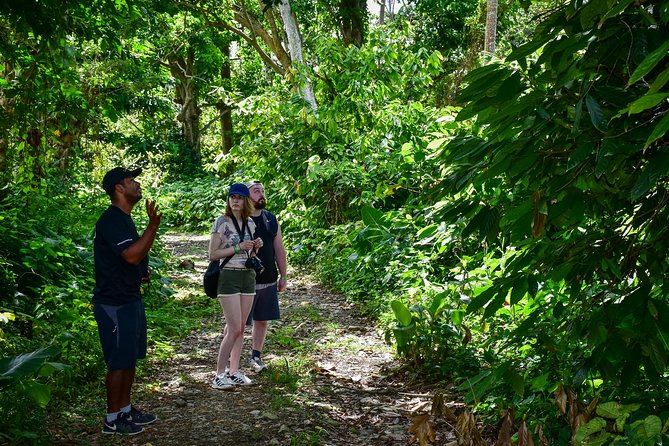 Let's do hiking in Punta Cana - Why this Punta Cana hike is more than a beach break