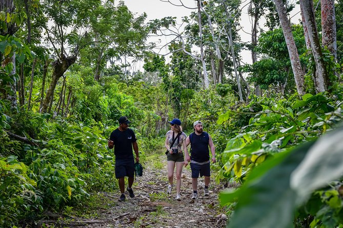 Let's do hiking in Punta Cana - The farm and plantation stop: coffee, chocolate, and local life