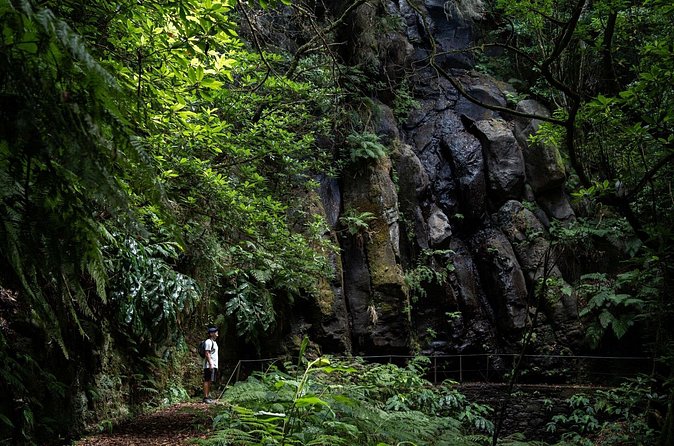Levada do Caldeirão Verde Self-Guided Hike in Madeira - Shuttle comfort on Madeira roads: why the van part is worth it