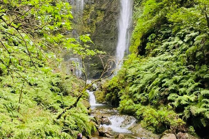 Levada do Caldeirão Verde Self-Guided Hike in Madeira - Should you book the Levada do Caldeirão Verde self-guided hike?