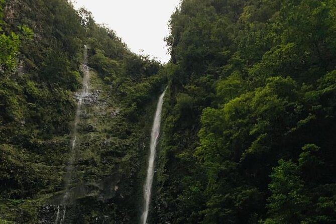 Levada do Caldeirão Verde Self-Guided Hike in Madeira - The 5-hour Caldeirão Verde route: UNESCO forest, levadas, tunnels, waterfalls