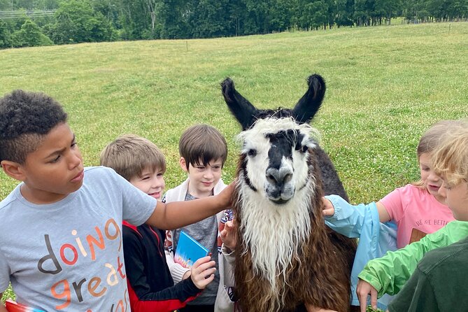 Llama/Alpaca Hike and Farm Tour - The guided trek: pastures, paddocks, and a stocked bass pond
