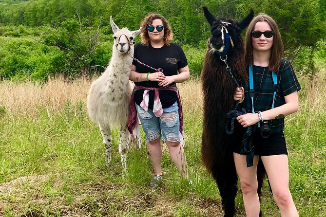 Llama/Alpaca Hike and Farm Tour - What to wear for a smooth farm walk (and why bugs matter)