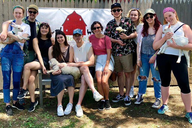 Llama/Alpaca Hike and Farm Tour - Timing and location tips so you don’t feel rushed