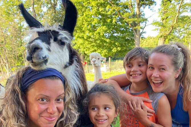 Llama/Alpaca Hike and Farm Tour - Llama/Alpaca 101 with guide Andrea: calm safety first