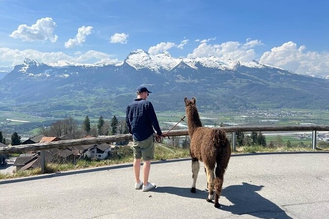 Llama hike through the wonderful Liechtenstein mountains - Stop 1: Pfarrkirche St. Josef and the value of a landmark pause