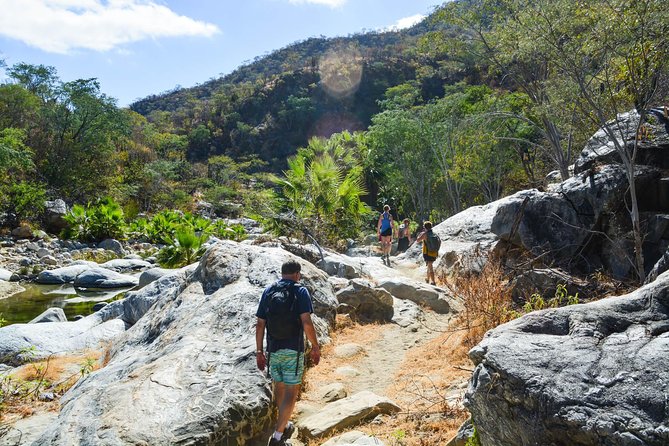 Los Cabos: Hiking at the Fox Canyon with Waterfall - Lunch in Miraflores: tacos that actually feel like the point