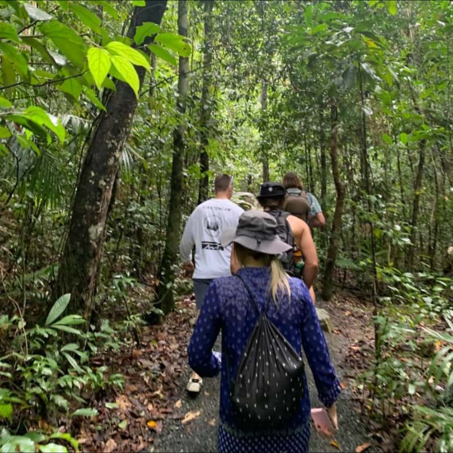 Mackay: Finch Hatton Gorge Hike, Swim & Platypus Adventure - Key things to know before you go