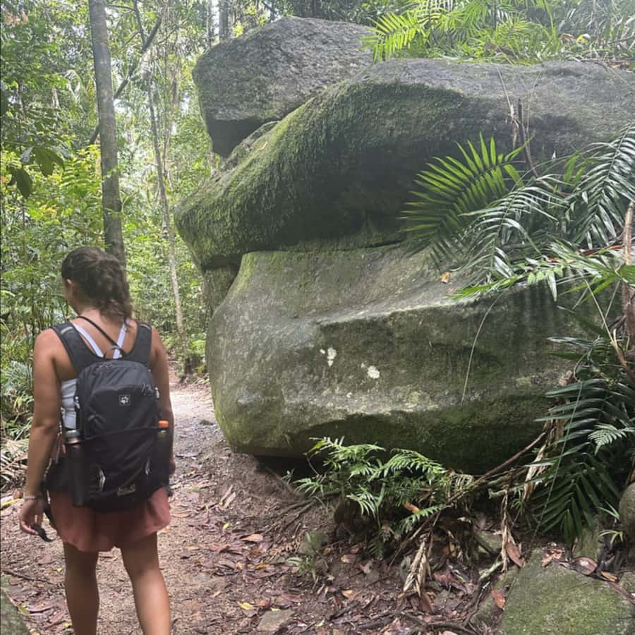 Mackay: Finch Hatton Gorge Hike, Swim & Platypus Adventure - From Mackay to Eungella: the ride west and why the day works