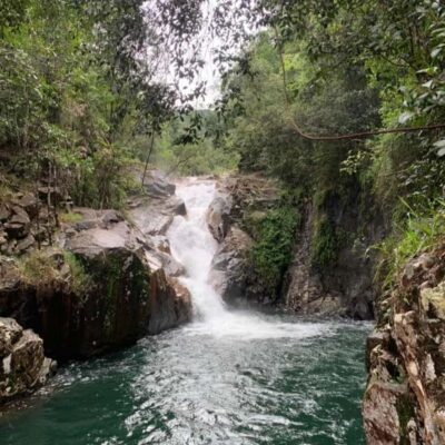 Mackay: Finch Hatton Gorge Hike, Swim & Platypus Adventure - Finch Hatton Gorge: guided hike, waterfall rock pool, and swim reality