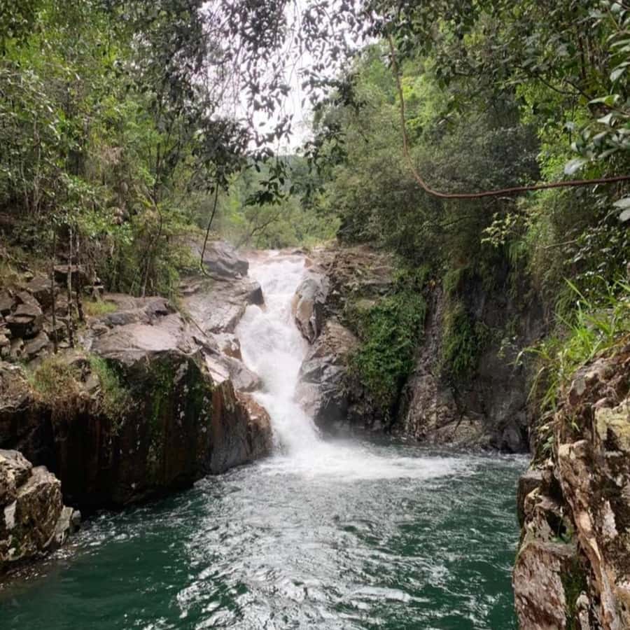 Mackay: Finch Hatton Gorge Hike, Swim & Platypus Adventure - Finch Hatton Gorge: guided hike, waterfall rock pool, and swim reality