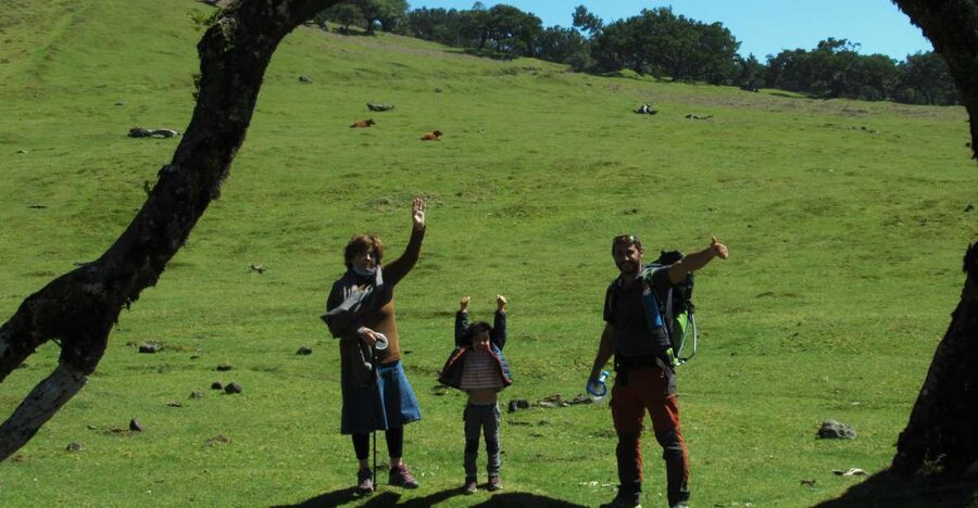 Madeira: Fanal Forest Guided Hiking Tour - Key Points You’ll Care About