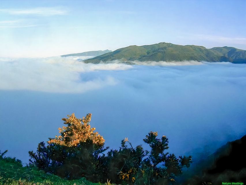 Madeira: Pico Arieiro to Pico Ruivo Hike - Pico do Arieiro: Photos First, Then the Real Climb