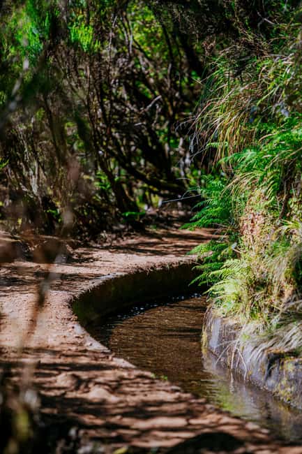 Madeira: PR 18 - Levada do Rei Hike Transfer with Host - Key highlights you’ll feel on PR18
